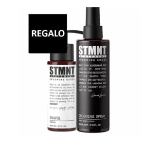 ENVÍO GRATIS Spray de peinado 200ml+Champú 80ml STMNT